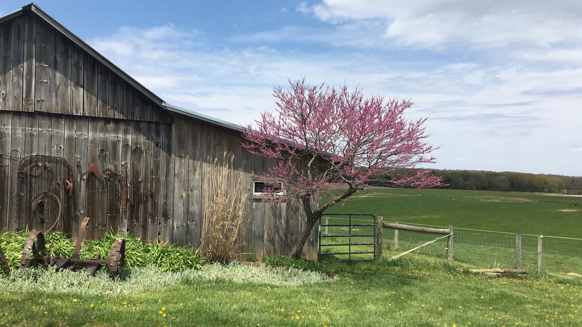 shed